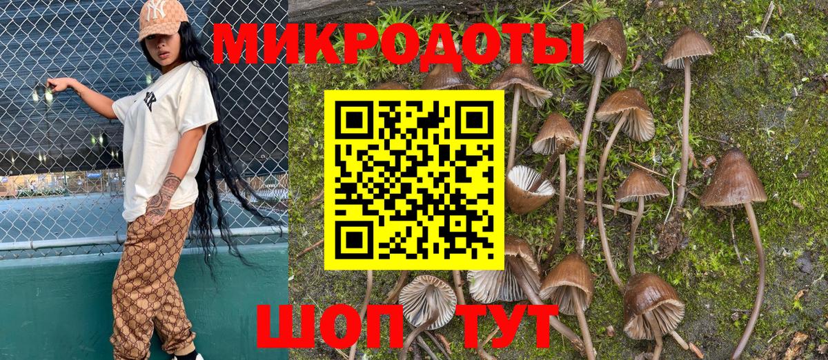 Галлюциногенные грибы Psilocybine cubensis  Вход с VPN  как найти закладки  Кинешма 